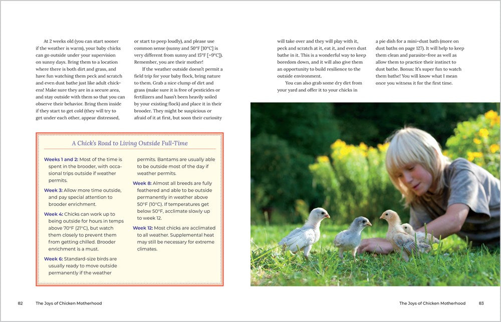 Let's All Keep Chickens!