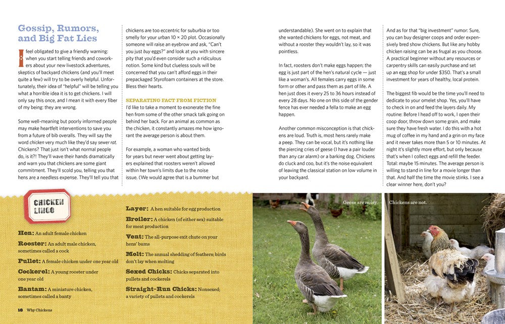 An Absolute Beginner's Guide to Keeping Backyard Chickens