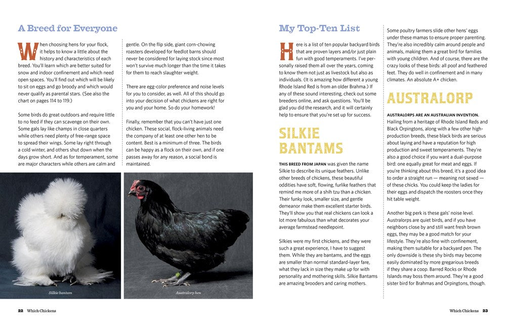 An Absolute Beginner's Guide to Keeping Backyard Chickens