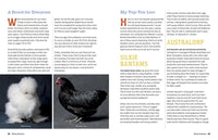 An Absolute Beginner's Guide to Keeping Backyard Chickens