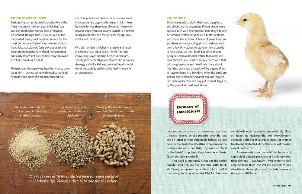 An Absolute Beginner's Guide to Keeping Backyard Chickens