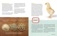 An Absolute Beginner's Guide to Keeping Backyard Chickens