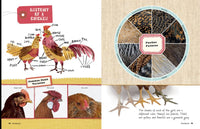 An Absolute Beginner's Guide to Keeping Backyard Chickens