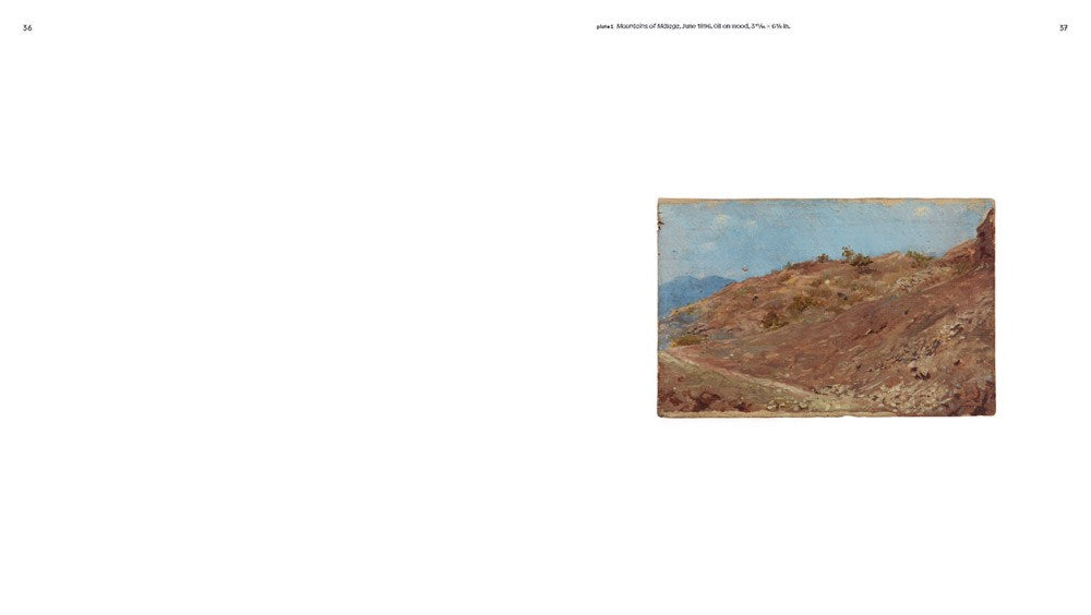 Picasso Landscapes: Out of Bounds