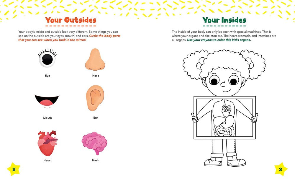 Human Body Preschool Activity Book