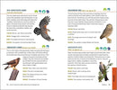 North American Bird Watching for Beginners