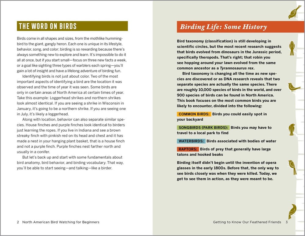 North American Bird Watching for Beginners