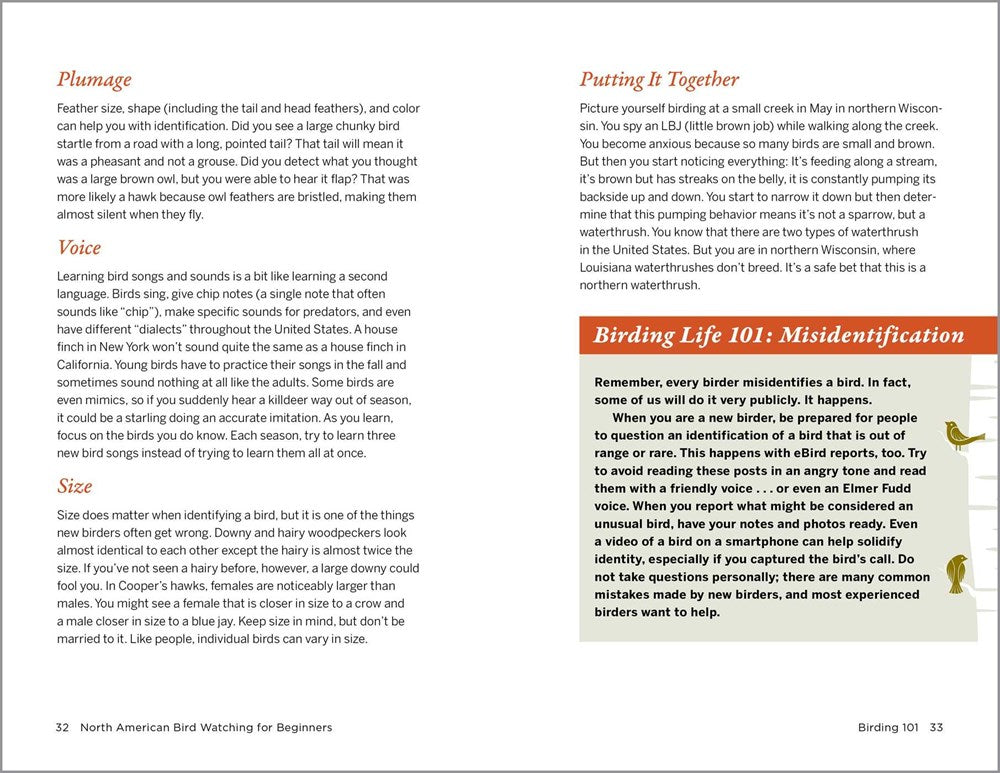 North American Bird Watching for Beginners