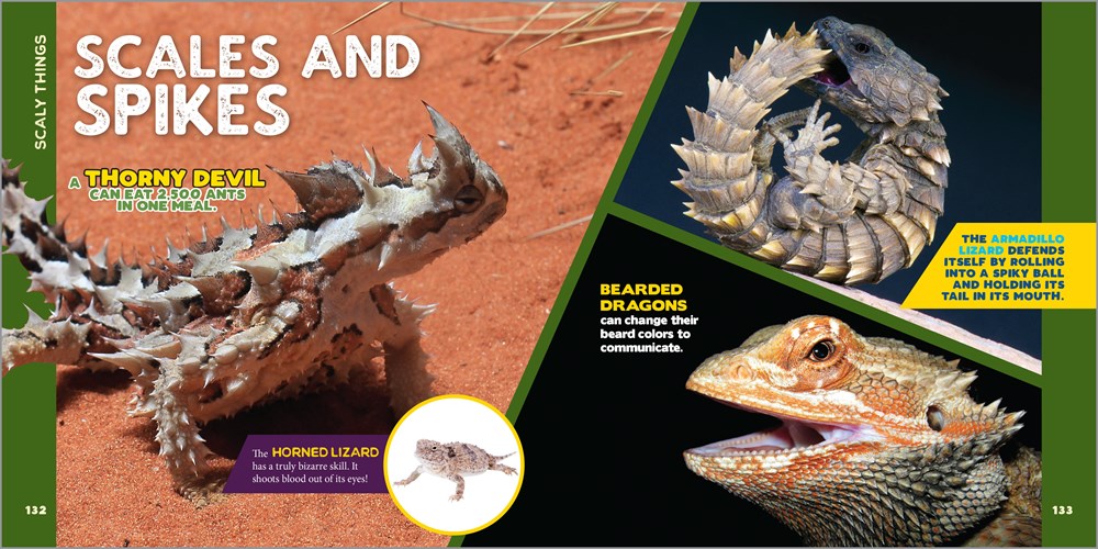 The Fascinating Animal Book for Kids