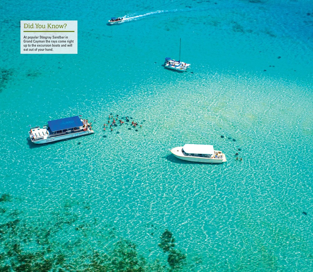 Fodor's InFocus Cayman Islands