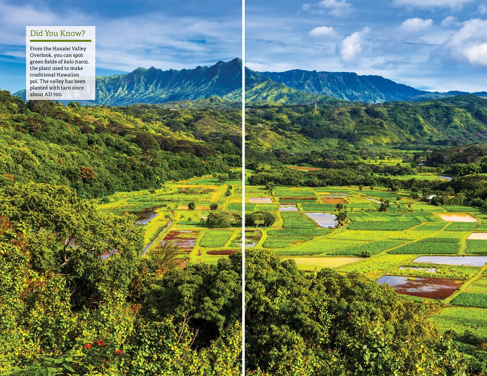 Fodor's Kauai