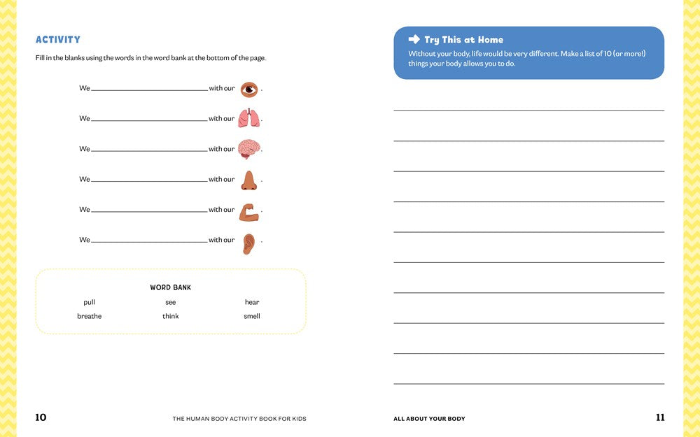 Human Body Activity Book for Kids