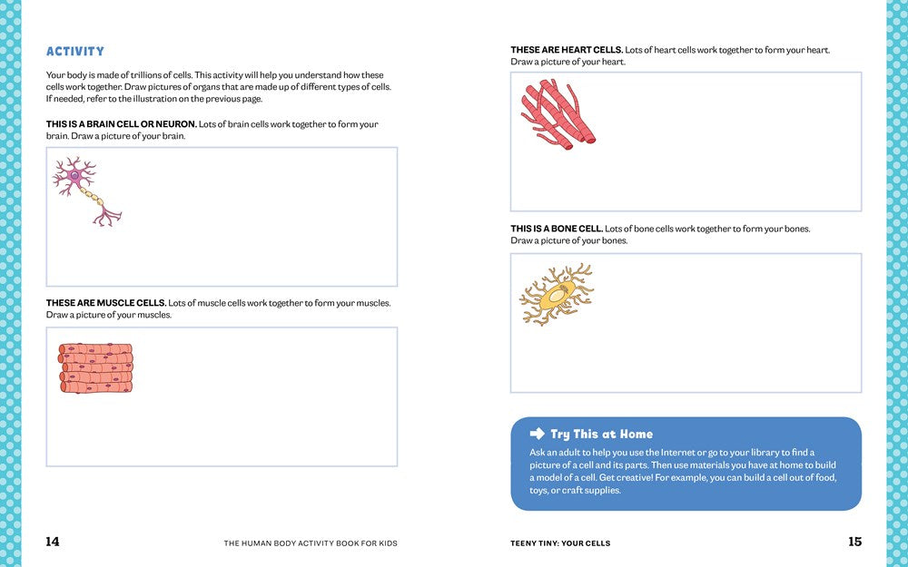 Human Body Activity Book for Kids