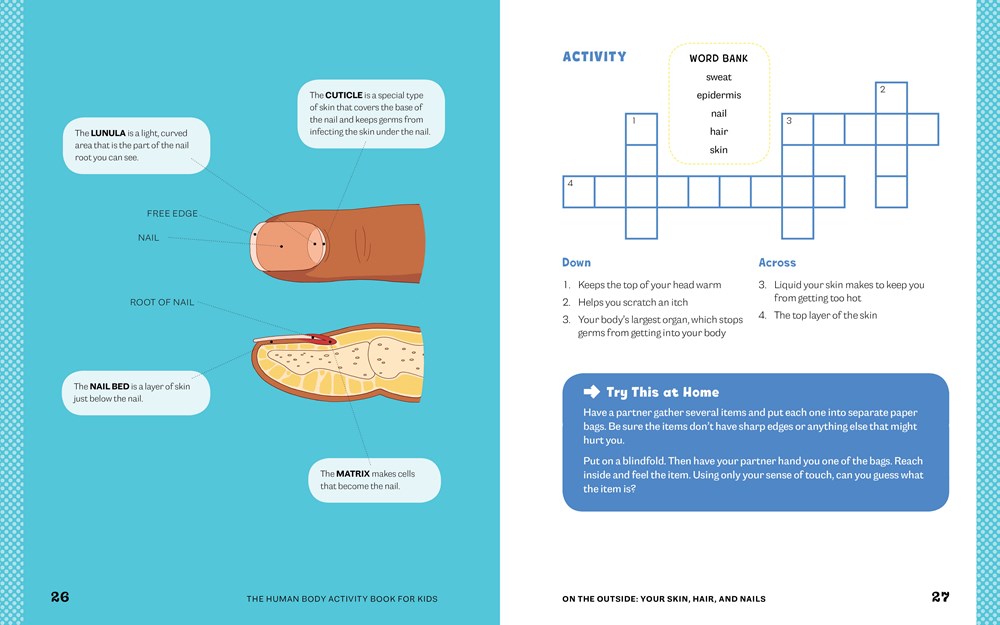 Human Body Activity Book for Kids