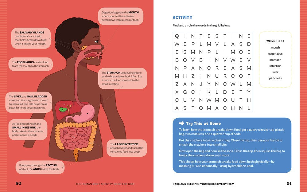 Human Body Activity Book for Kids