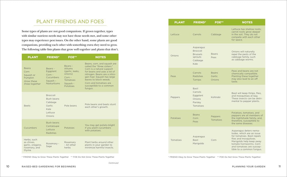 Raised-Bed Gardening for Beginners