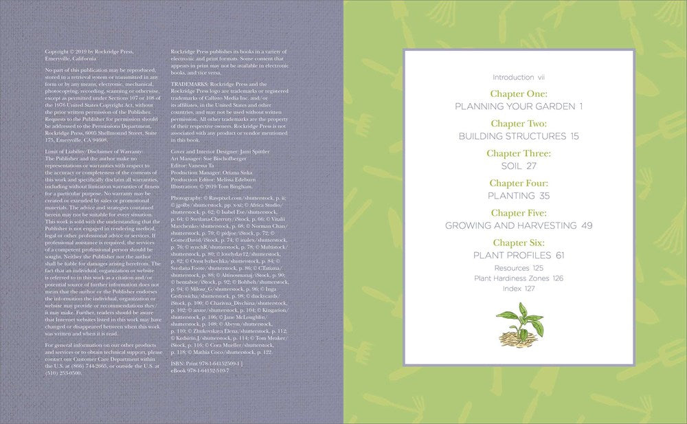 Raised-Bed Gardening for Beginners