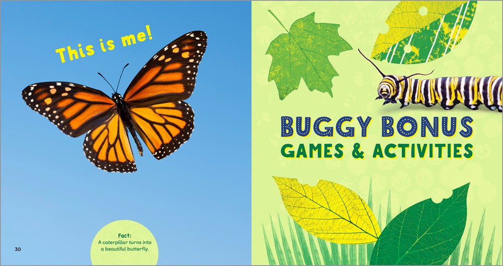 The Backyard Bug Book for Kids: Storybook, Insect Facts, and Activities