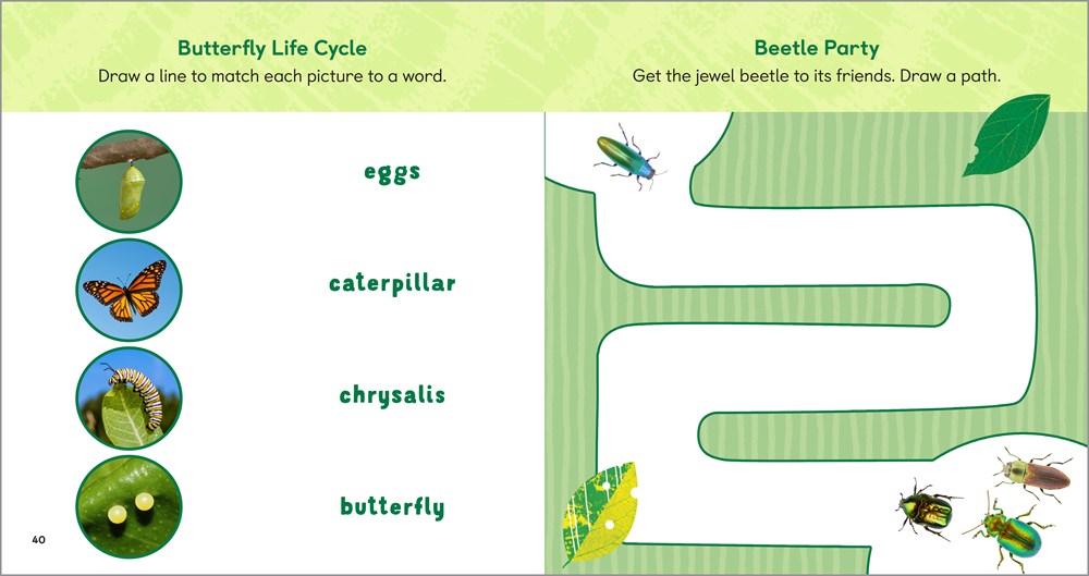 The Backyard Bug Book for Kids: Storybook, Insect Facts, and Activities