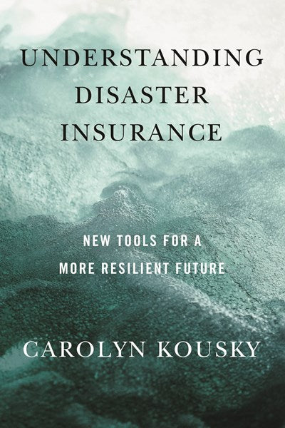 Understanding Disaster Insurance