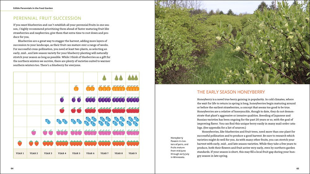 Plant Grow Harvest Repeat