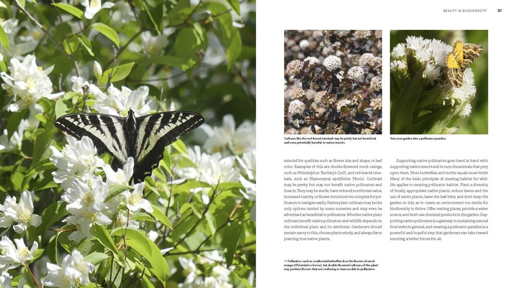 The Pacific Northwest Native Plant Primer