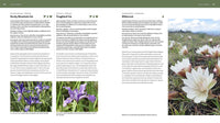 The Pacific Northwest Native Plant Primer