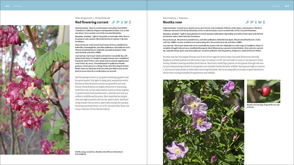 The Pacific Northwest Native Plant Primer