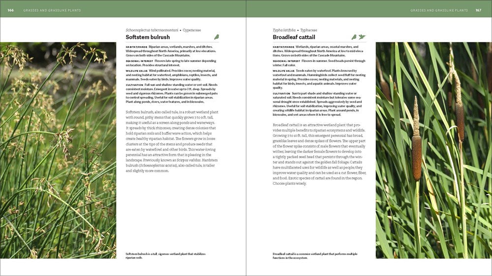 The Pacific Northwest Native Plant Primer