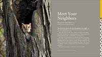 The Screech Owl Companion