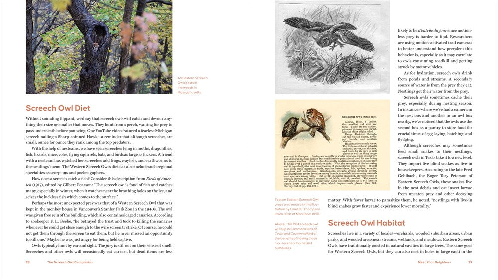 The Screech Owl Companion