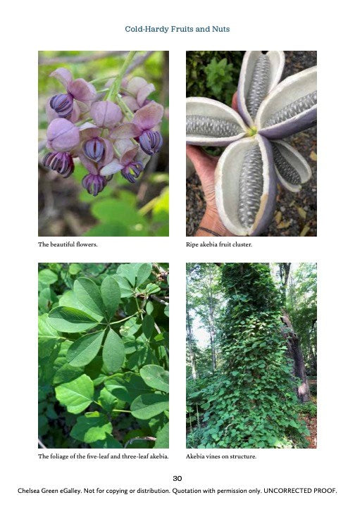 Cold-Hardy Fruits and Nuts