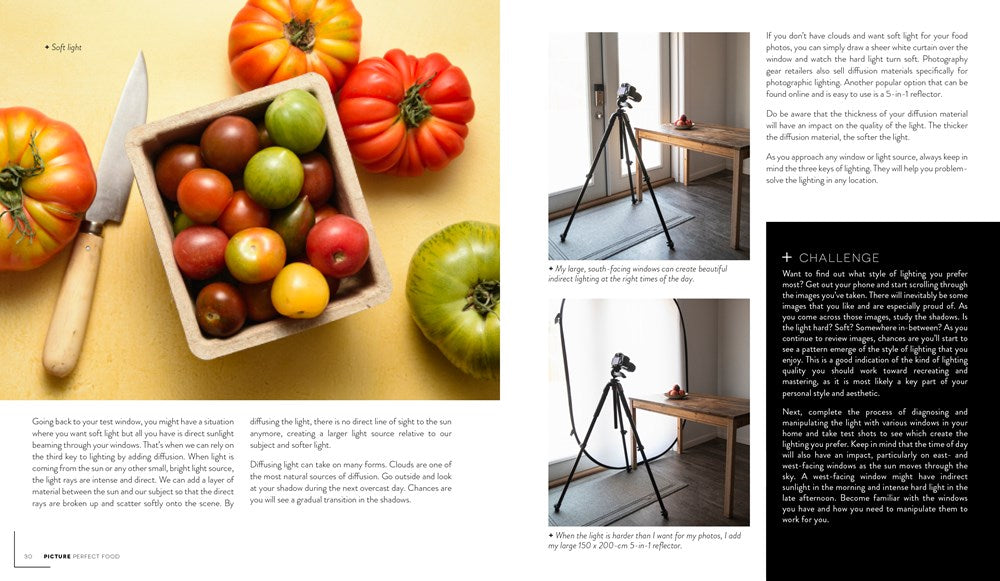 Picture Perfect Food