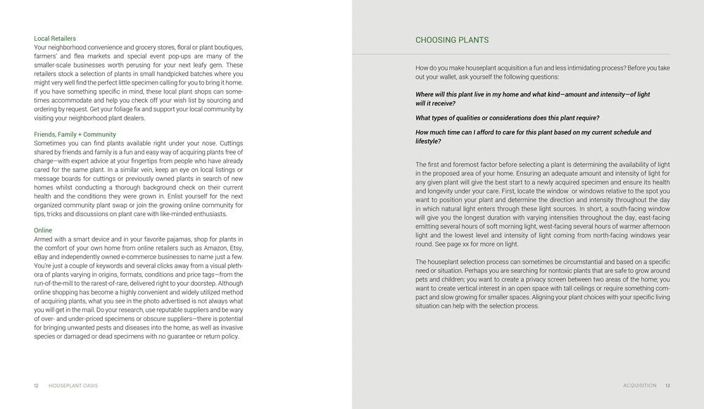 Houseplant Oasis
