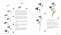 Wildflower Watercolor: The Beginner’s Guide to Painting Beautiful Florals