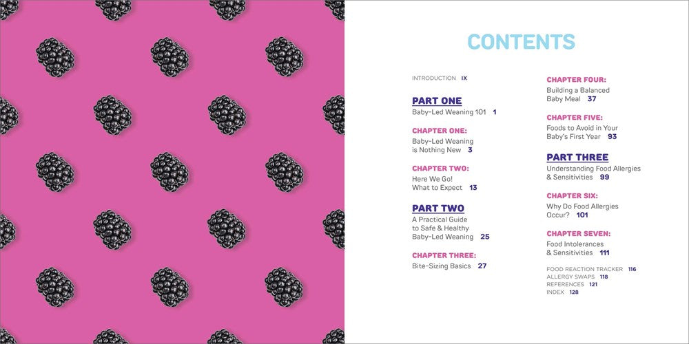 Simple & Safe Baby-Led Weaning