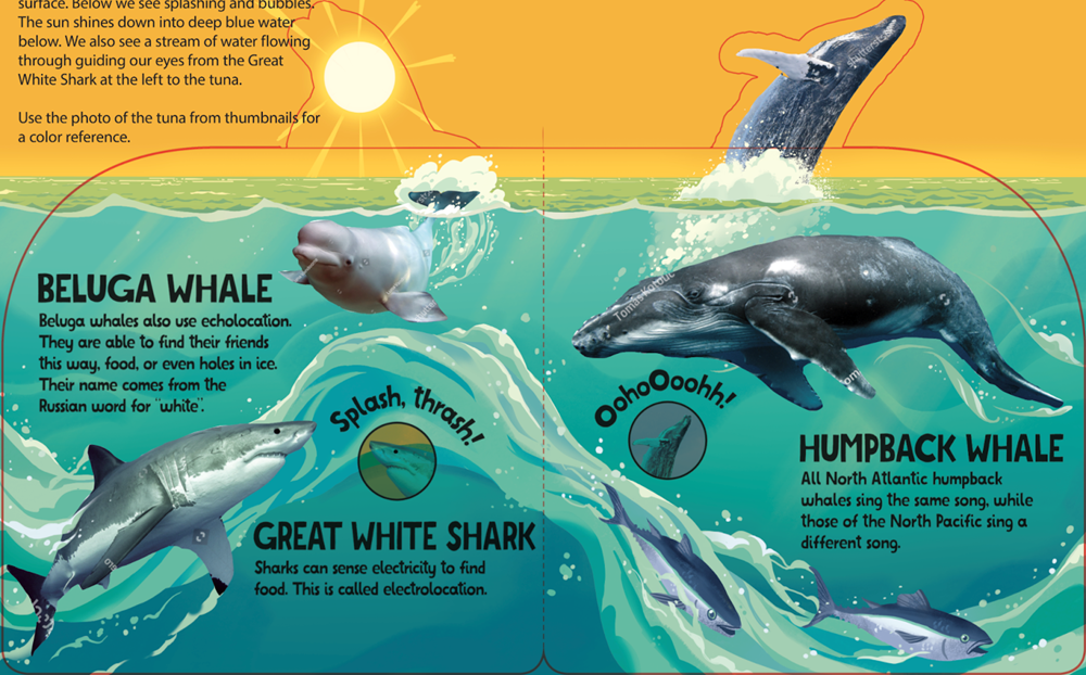 Swim, Splash, in the Sea!