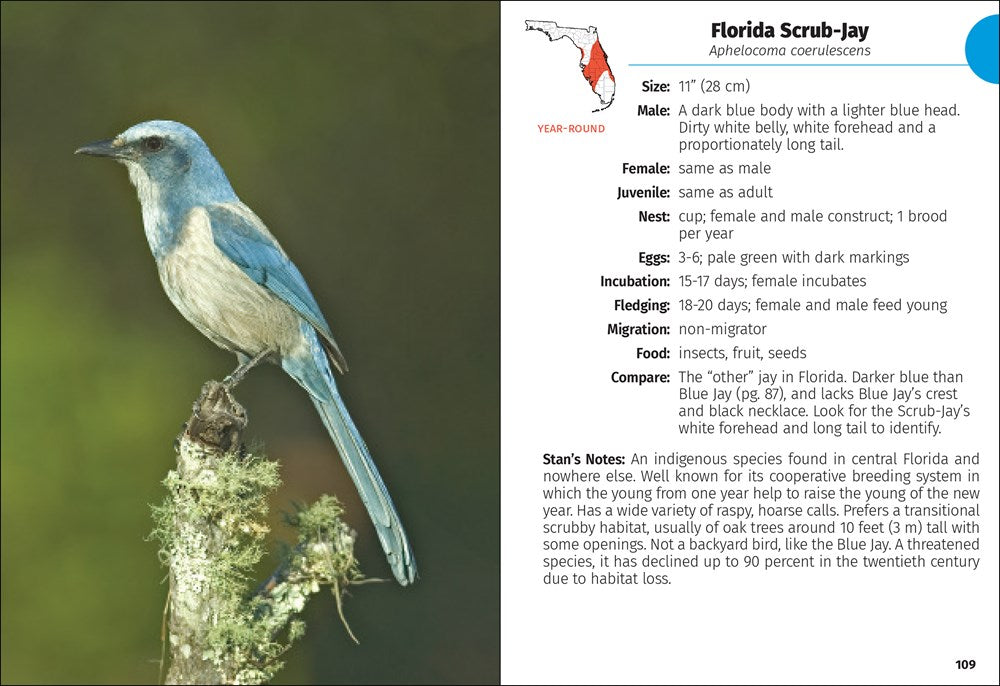 Birds of Florida Field Guide  (3rd Edition, Revised)