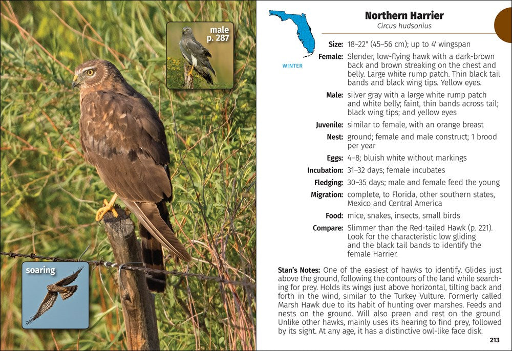 Birds of Florida Field Guide  (3rd Edition, Revised)