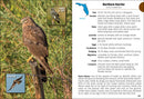 Birds of Florida Field Guide  (3rd Edition, Revised)