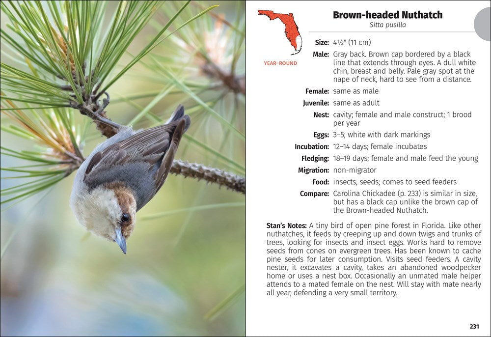 Birds of Florida Field Guide  (3rd Edition, Revised)