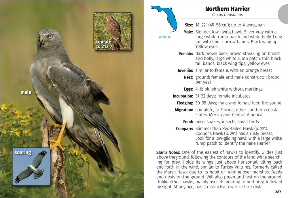 Birds of Florida Field Guide  (3rd Edition, Revised)