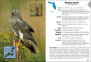 Birds of Florida Field Guide  (3rd Edition, Revised)