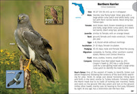 Birds of Florida Field Guide  (3rd Edition, Revised)