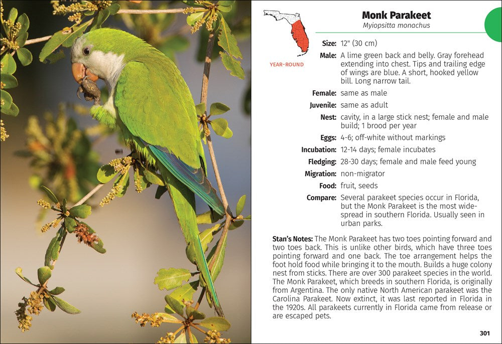 Birds of Florida Field Guide  (3rd Edition, Revised)