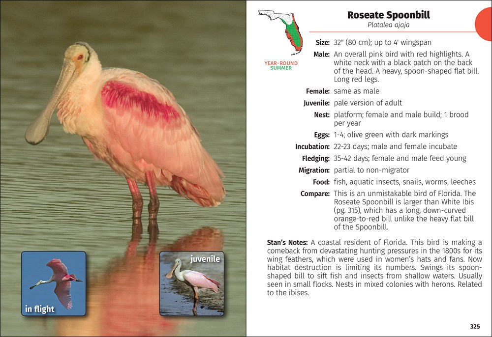 Birds of Florida Field Guide  (3rd Edition, Revised)