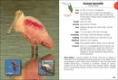 Birds of Florida Field Guide  (3rd Edition, Revised)