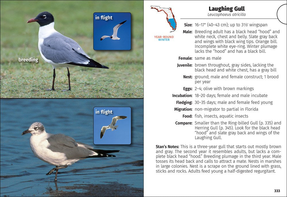 Birds of Florida Field Guide  (3rd Edition, Revised)