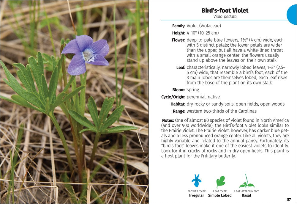 Wildflowers of the Carolinas Field Guide