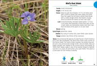 Wildflowers of the Carolinas Field Guide